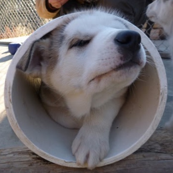 Meet your Posher, Christina - Picture 1 of 1